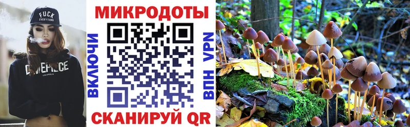 Галлюциногенные грибы MAGIC MUSHROOMS  где купить наркоту  Советск 